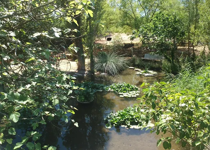 Appartement La P'tite Bulle D'enfer